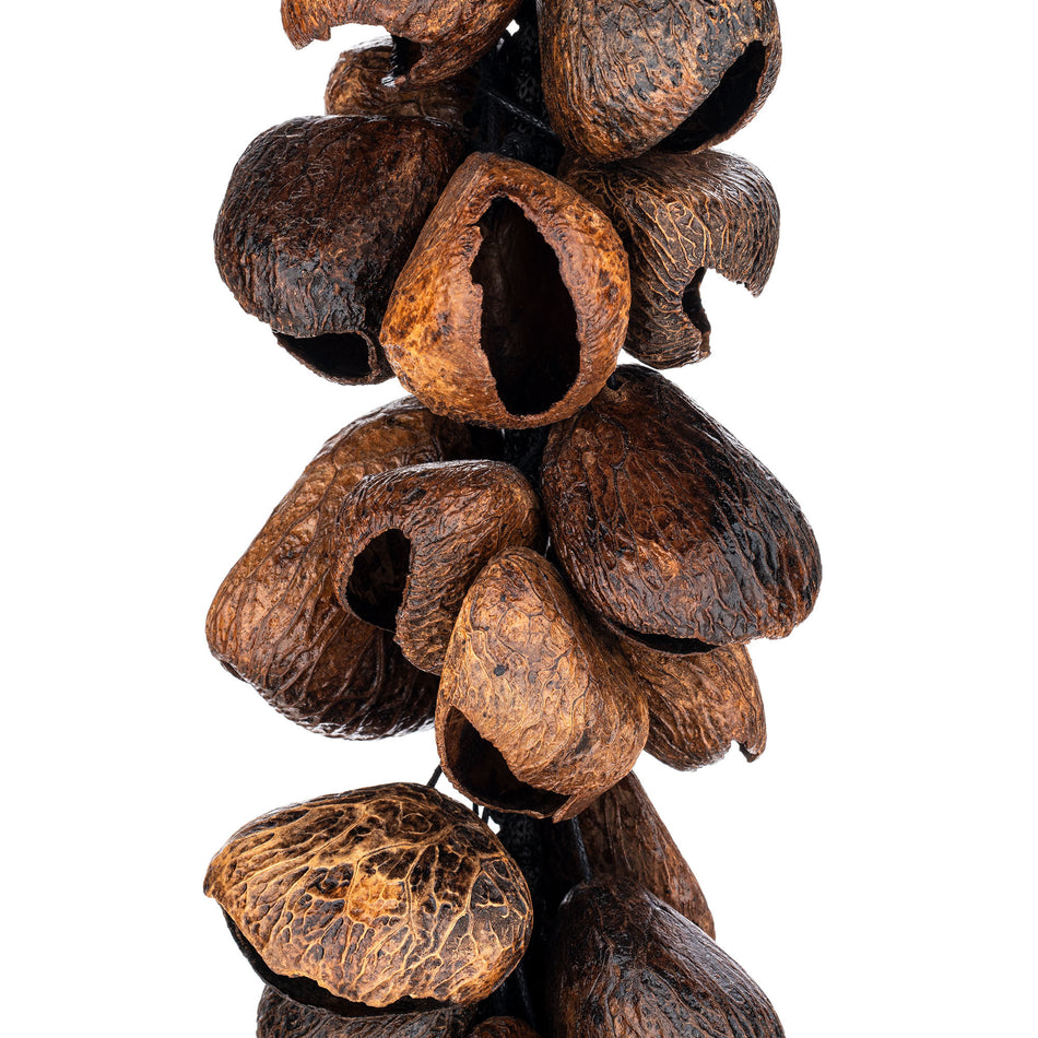 Meinl Percussion Pangi Waterfall Shaker, 40 Seeds