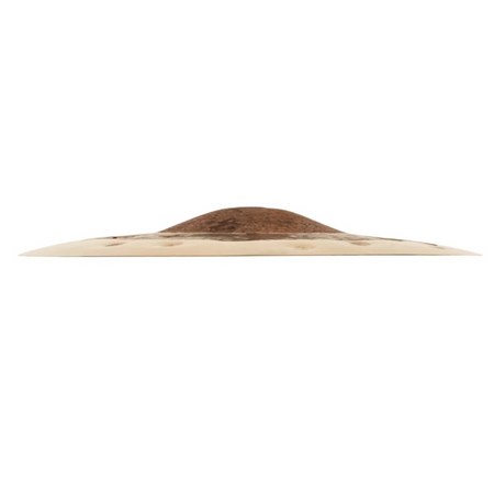 Meinl Byzance Dual 10" Splash Cymbal | B10DUS - Into Music Store