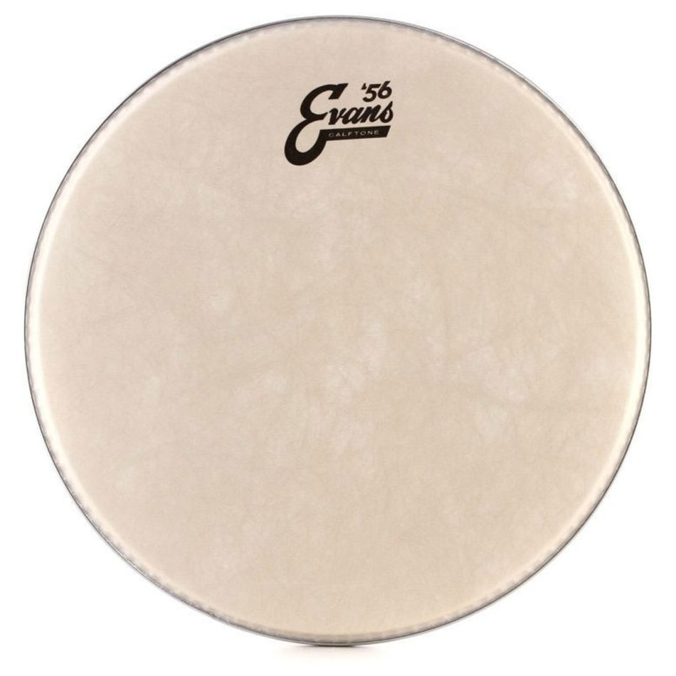 Evans 56 Calftone Drum head | 14'' - Into Music Store